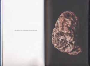 diner-fantasma-ryoko-sekiguchi-felipe-ribon-manuella-editions-5
